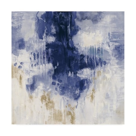 Silvia Vassileva 'Indigo Rain' Canvas Art,14x14